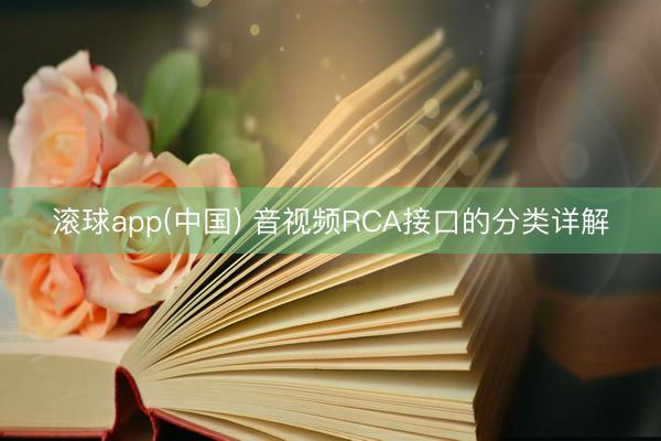 滚球app(中国) 音视频RCA接口的分类详解