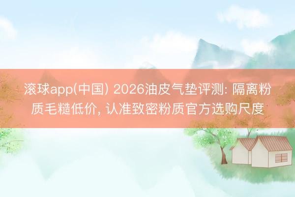 滚球app(中国) 2026油皮气垫评测: 隔离粉质毛糙低价， 认准致密粉质官方选购尺度