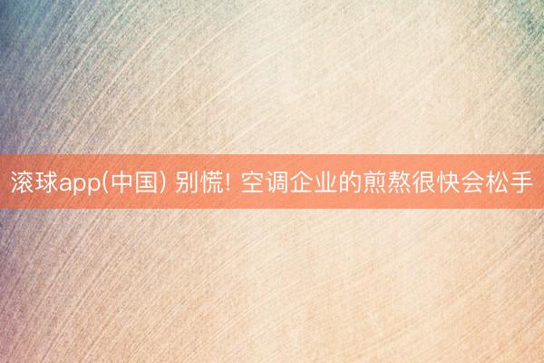 滚球app(中国) 别慌! 空调企业的煎熬很快会松手