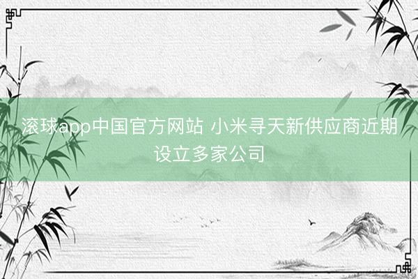 滚球app中国官方网站 小米寻天新供应商近期设立多家公司