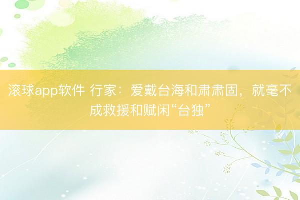 滚球app软件 行家：爱戴台海和肃肃固，就毫不成救援和赋闲“台独”