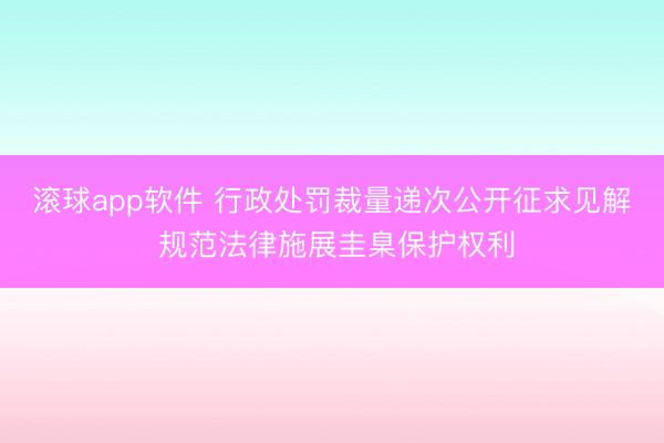 滚球app软件 行政处罚裁量递次公开征求见解 规范法律施展圭臬保护权利