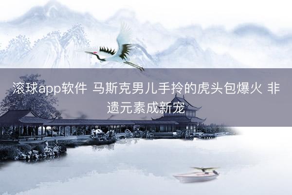 滚球app软件 马斯克男儿手拎的虎头包爆火 非遗元素成新宠