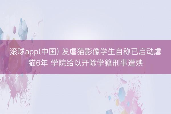 滚球app(中国) 发虐猫影像学生自称已启动虐猫6年 学院给以开除学籍刑事遭殃