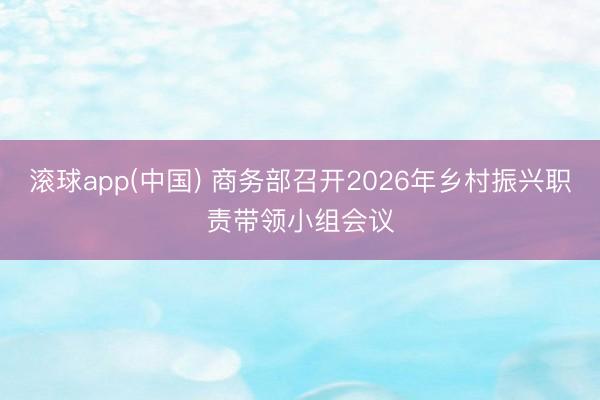 滚球app(中国) 商务部召开2026年乡村振兴职责带领小组会议