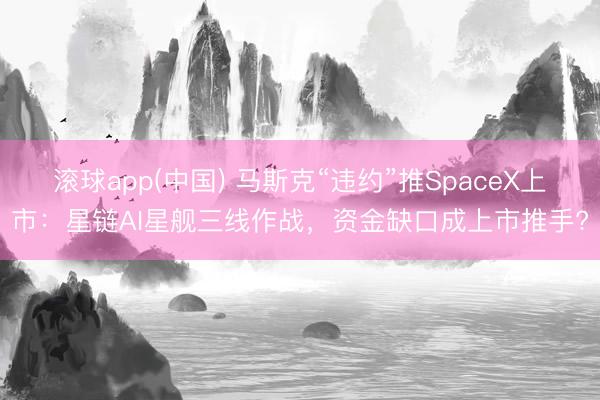 滚球app(中国) 马斯克“违约”推SpaceX上市：星链AI星舰三线作战，资金缺口成上市推手?