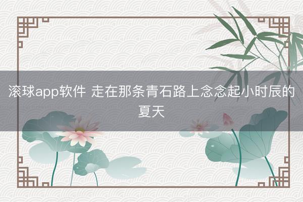 滚球app软件 走在那条青石路上念念起小时辰的夏天