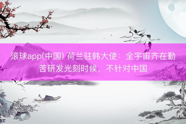 滚球app(中国) 荷兰驻韩大使：全宇宙齐在勤苦研发光刻时候，不针对中国