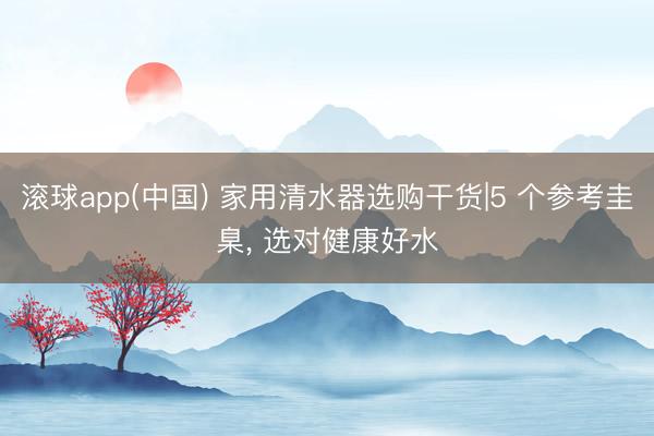 滚球app(中国) 家用清水器选购干货|5 个参考圭臬， 选对健康好水