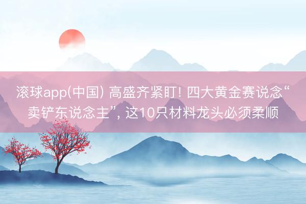 滚球app(中国) 高盛齐紧盯! 四大黄金赛说念“卖铲东说念主”， 这10只材料龙头必须柔顺
