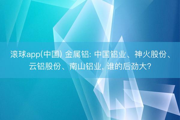 滚球app(中国) 金属铝: 中国铝业、神火股份、云铝股份、南山铝业， 谁的后劲大?