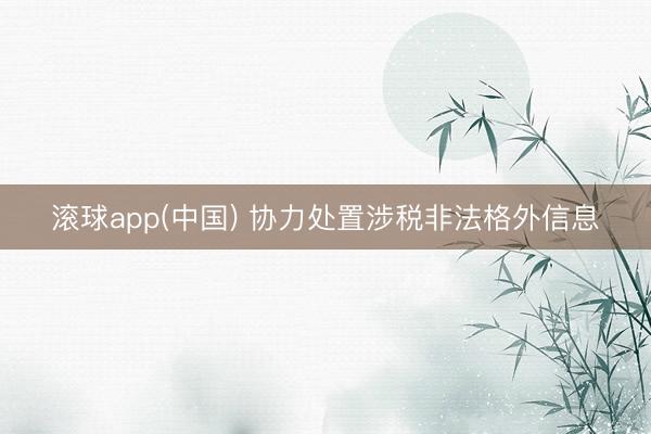 滚球app(中国) 协力处置涉税非法格外信息