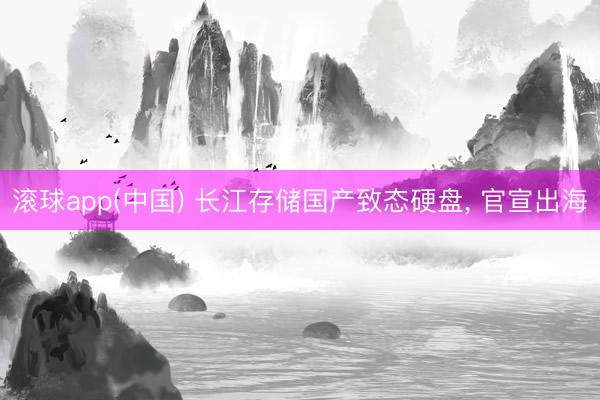滚球app(中国) 长江存储国产致态硬盘， 官宣出海