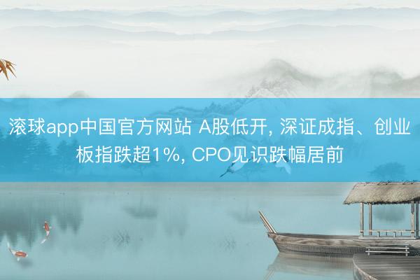 滚球app中国官方网站 A股低开， 深证成指、创业板指跌超1%， CPO见识跌幅居前
