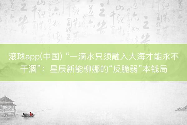 滚球app(中国) “一滴水只须融入大海才能永不干涸”:星辰新能柳娜的“反脆弱”本钱局