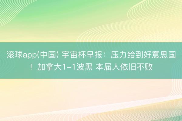 滚球app(中国) 宇宙杯早报：压力给到好意思国！加拿大1-1波黑 本届人依旧不败