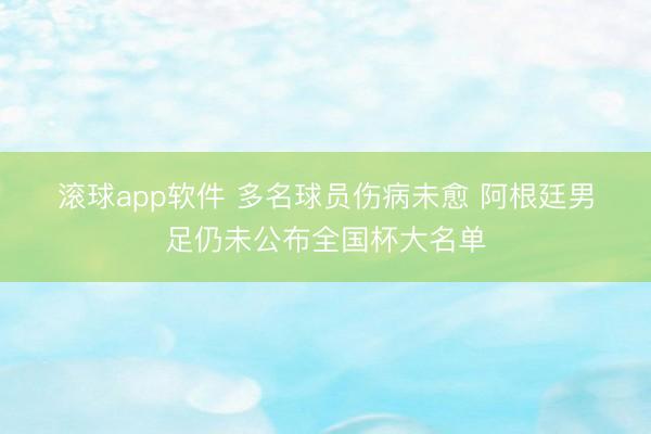 滚球app软件 多名球员伤病未愈 阿根廷男足仍未公布全国杯大名单