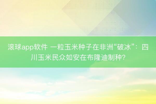 滚球app软件 一粒玉米种子在非洲“破冰”：四川玉米民众如安在布隆迪制种？
