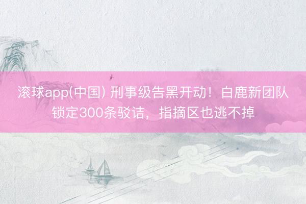 滚球app(中国) 刑事级告黑开动!白鹿新团队锁定300条驳诘,指摘区也逃不掉