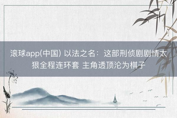 滚球app(中国) 以法之名：这部刑侦剧剧情太狠全程连环套 主角透顶沦为棋子