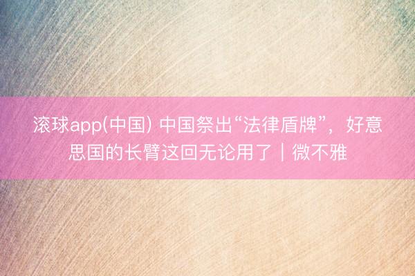 滚球app(中国) 中国祭出“法律盾牌”，好意思国的长臂这回无论用了｜微不雅