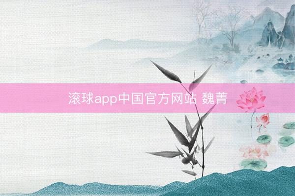 滚球app中国官方网站 魏菁